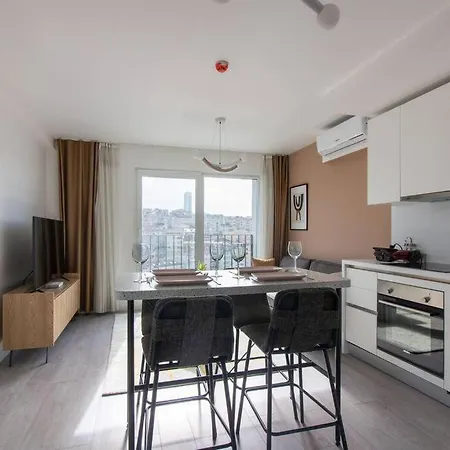 Lejlighed New & Chic 2 Bedroom W Gym And Shuttle #116 Istanbul